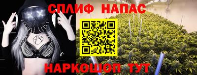 винт Донецк